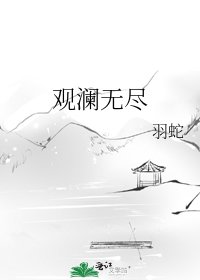 觀瀾無盡